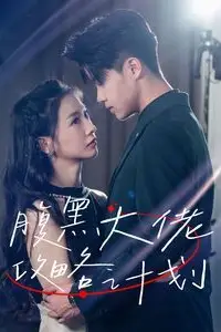 《腹黑大佬攻略计划》封面