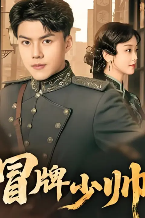 《冒牌少帅》封面