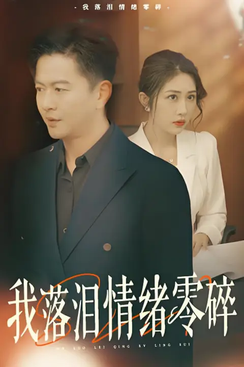 《我落泪情绪零碎》封面