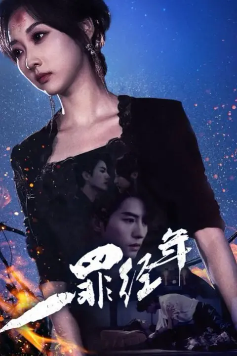 《一罪经年》封面