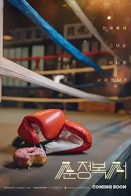 《纯情拳击手》封面