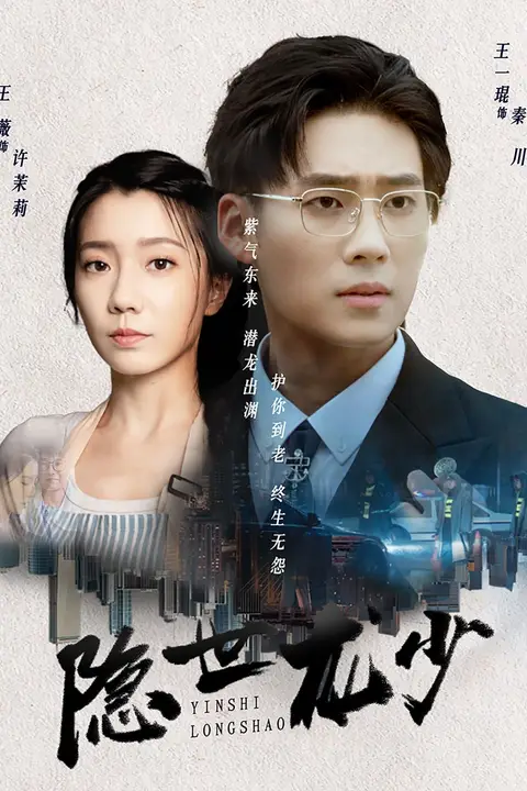 《隐世龙少》封面