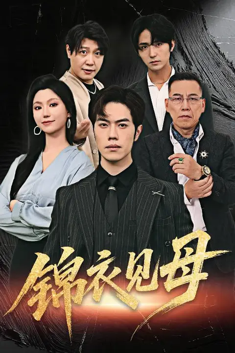 《锦衣见母》封面