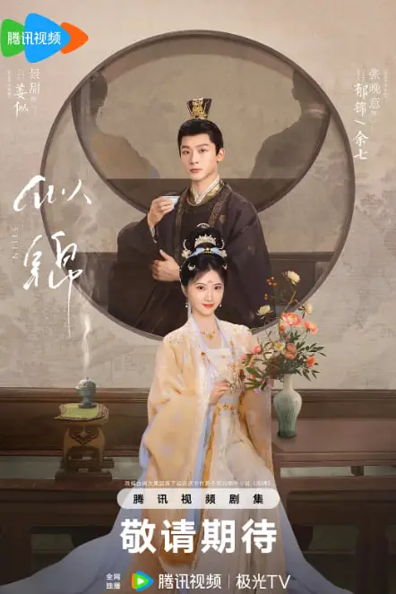 《似锦》封面