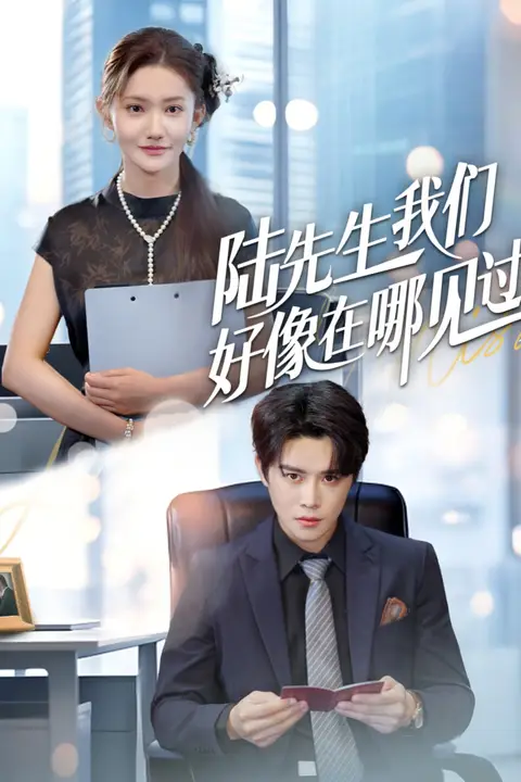 《陆先生我们好像在哪见过》封面