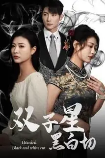 《双子星黑白切》封面