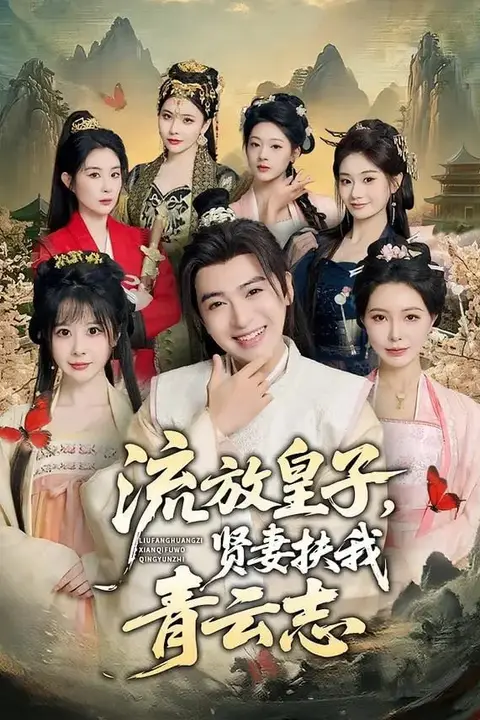 《流放皇子,贤妻扶我青云志》封面