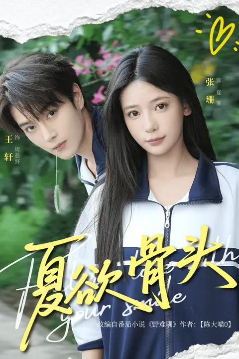 《夏欲骨头》封面