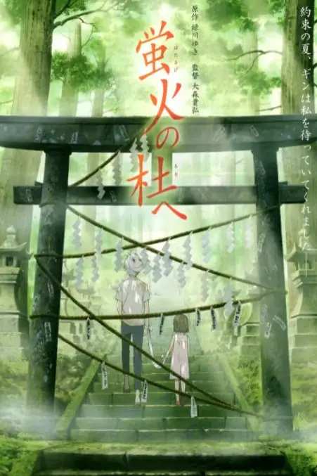 《萤火之森》封面
