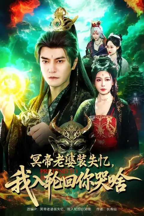 《冥帝老婆装失忆，我入轮回你哭啥》封面
