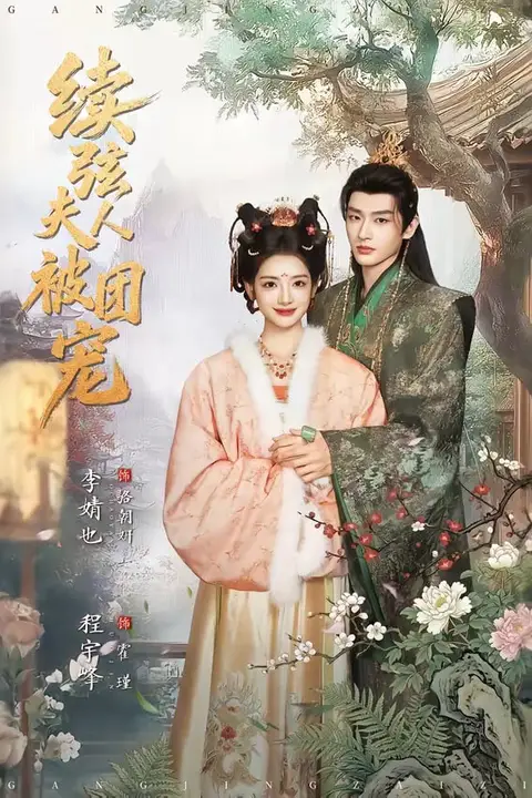 《续弦夫人被团宠》封面