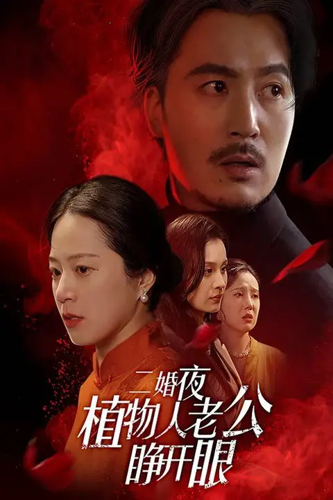 《二婚夜植物人老公睁开眼》封面