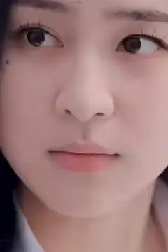 《城南花正开》封面