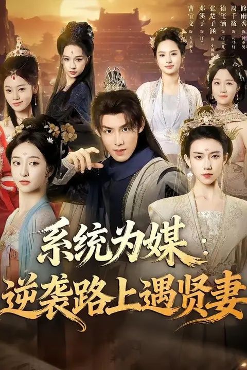 《系统为媒逆袭路上遇贤妻》封面