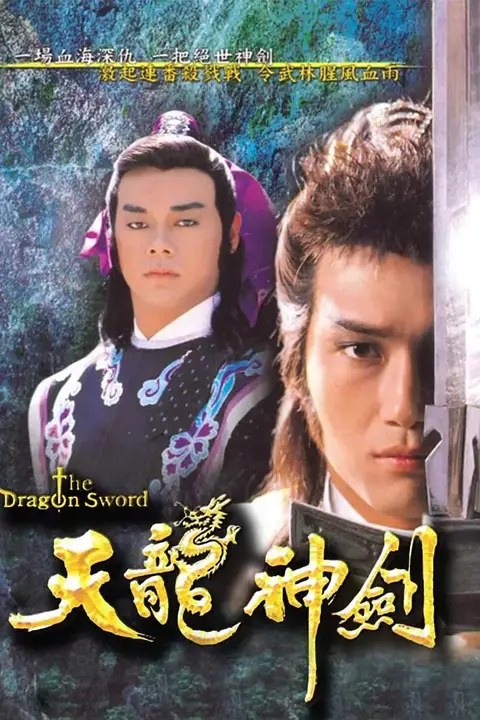 《天龙神剑》封面
