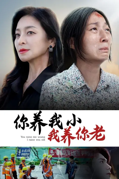 《你养我小我养你老》封面
