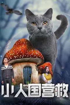 《小人国营救》封面