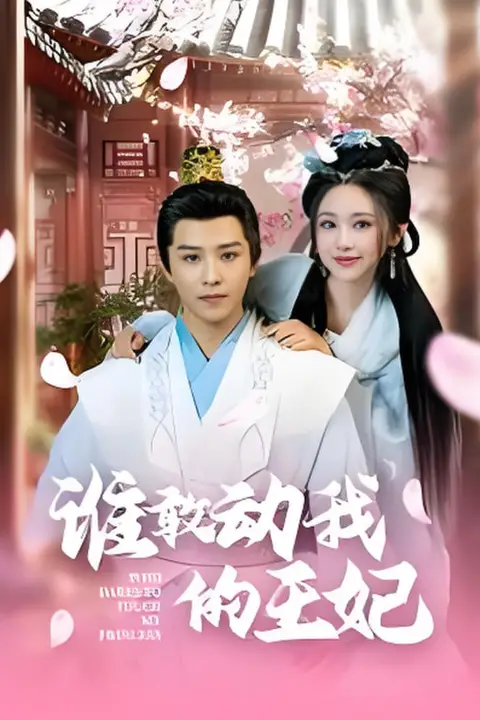 《谁敢动我的王妃》封面