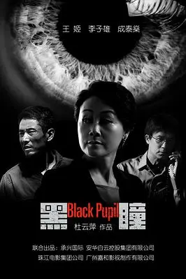 《黑瞳》封面