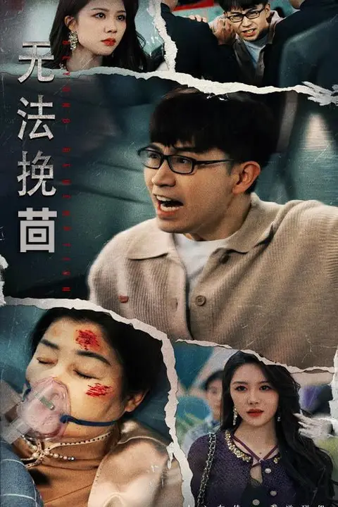 《无法挽回》封面