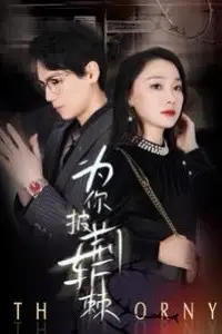 《为你披荆斩棘》封面