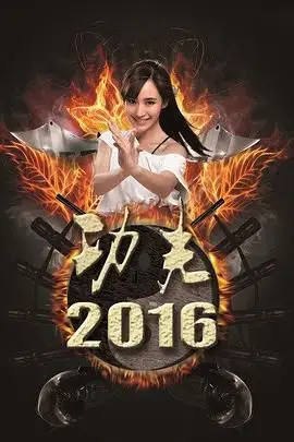 《功夫2016》封面