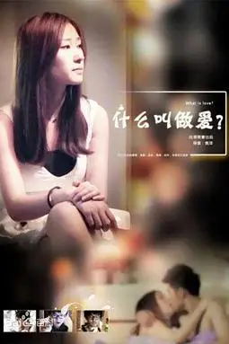 《什么叫做爱》封面