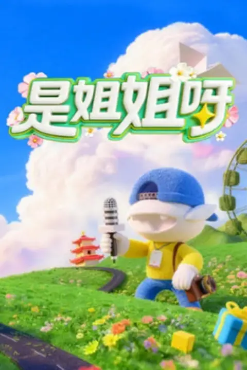 《是姐姐呀》封面