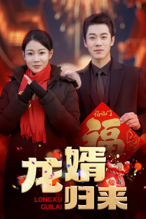 《龙婿归来》封面