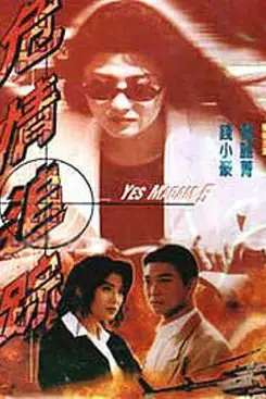 《危情追踪》封面