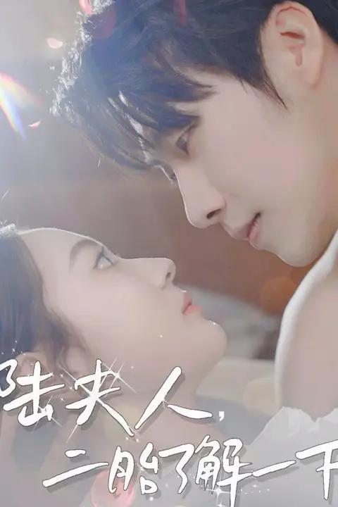 《陆夫人,二胎了解一下》封面