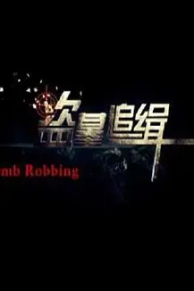 《盗墓追缉》封面