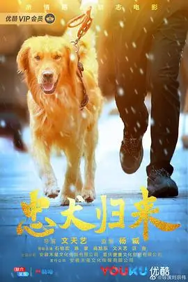 《忠犬归来》封面