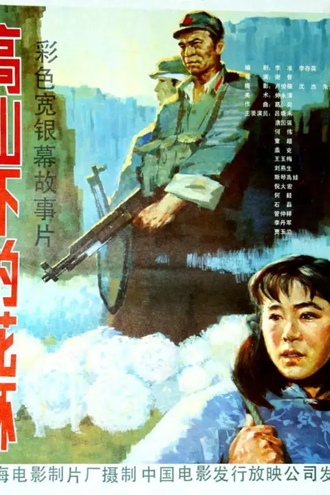 《高山下的花环》封面