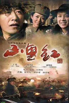 《山里红》封面
