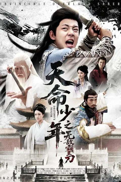 《天命少年之无敌霸王刀》封面