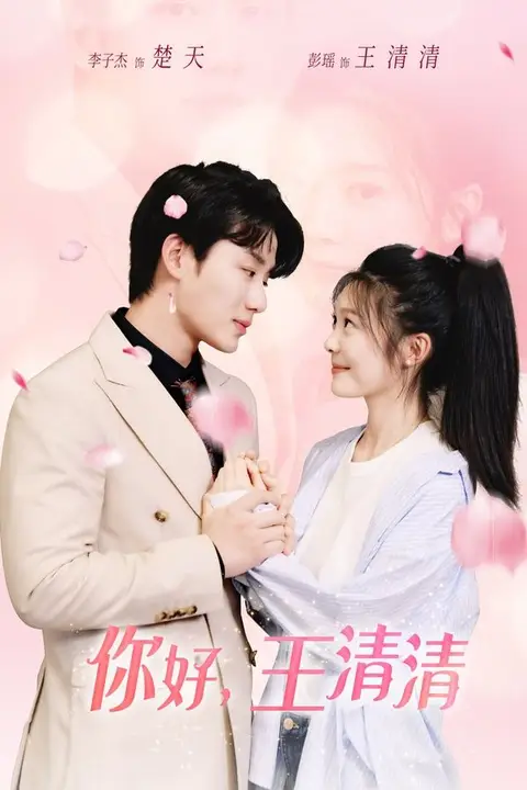《你好，王清清（且以旧火试新茶）》封面