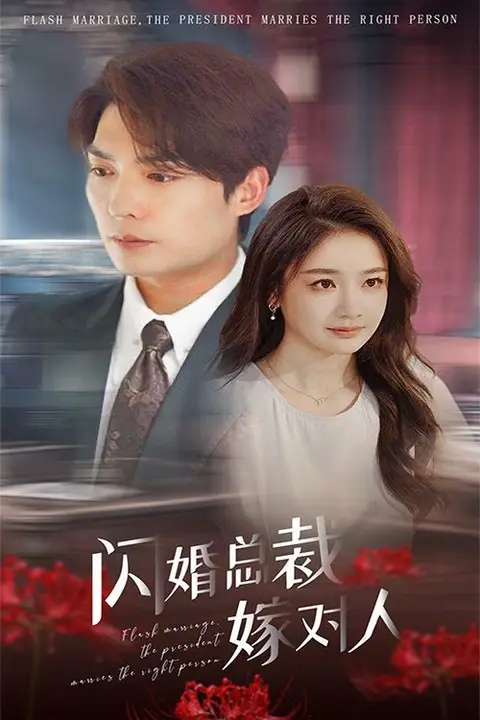 《闪婚总裁嫁对人》封面