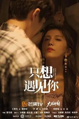 《只想遇见你》封面