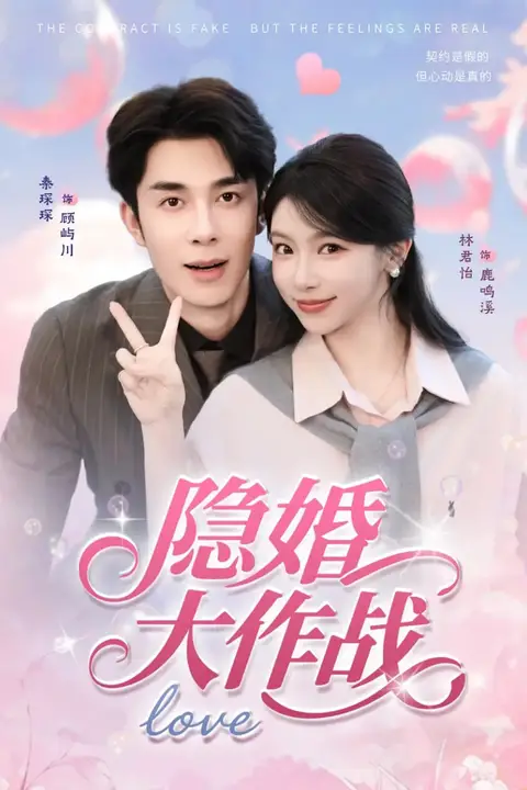 《隐婚大作战》封面