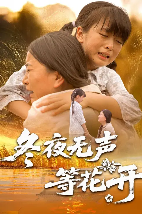 《冬夜无声等花开》封面