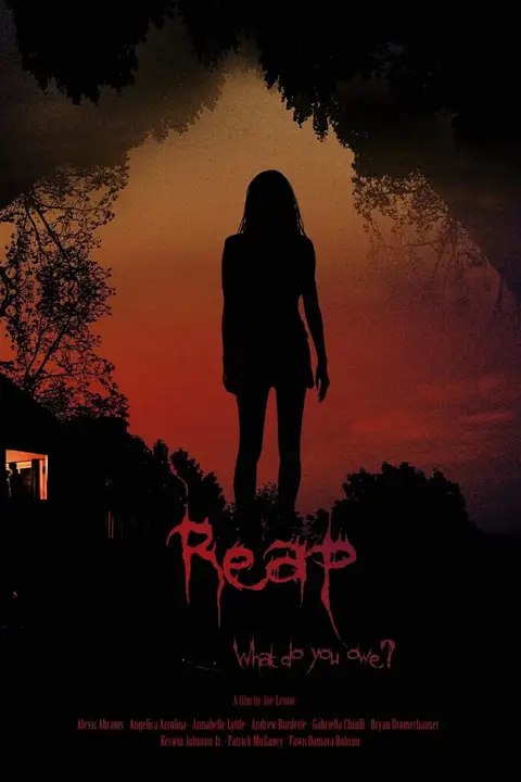 《收获 2020》封面
