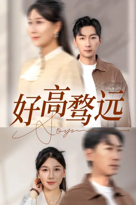 《好高骛远》封面