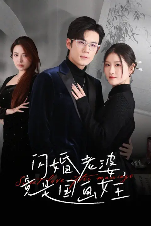 《闪婚老婆竟是国画女王》封面