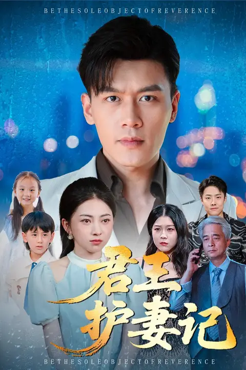 《君王护妻记（独尊）》封面