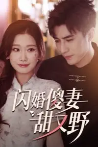 《闪婚傻妻甜又野》封面