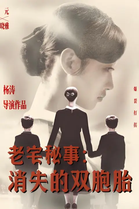 《老宅秘事消失的双胞胎（消失的孩子）》封面