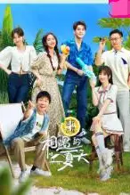 《相遇的夏天》封面