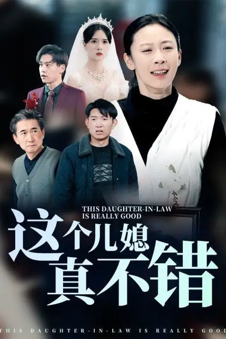 《这个儿媳真不错》封面