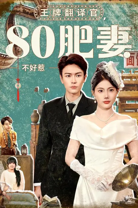 《王牌翻译官80肥妻不好惹》封面